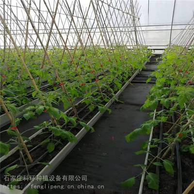 草莓种植技术,草莓立体种植槽厂家,草莓种植槽价格