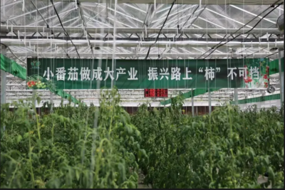 镇巴:书写践行"两山"理念的生动实践