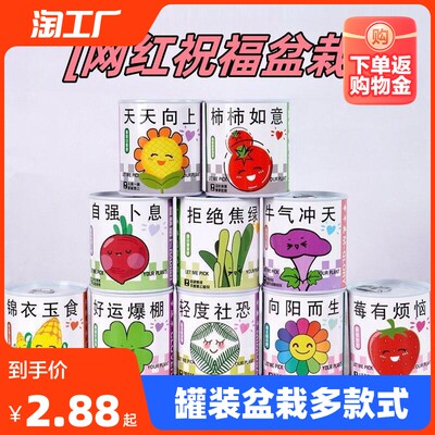 当前网购流行产品