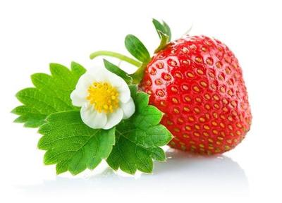 草莓的种植方法,几个步骤教你轻轻松松的种草莓,确实不看看吗?