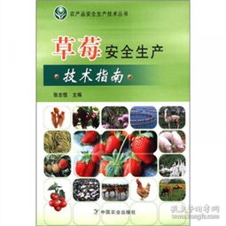 草莓种植技术书籍 农产品安全生产技术丛书 草莓安全生产技术指南