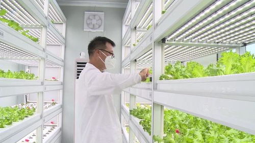 垂直农业研究中心是干什么的