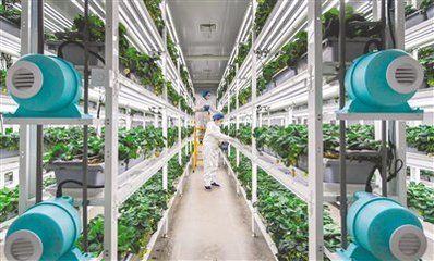 数字科技赋能智慧农业