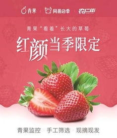 易信青果进军互联网农业 打造看得见的食品安全