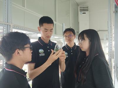 我校智慧香莓团队在全国智慧农业创意大赛中荣获特等奖