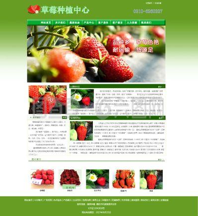 草莓种植中心