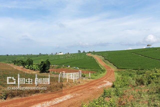 越南林省大叻市宝乐镇Bao Loc town, Da Lat city, Lam province, Vietnam