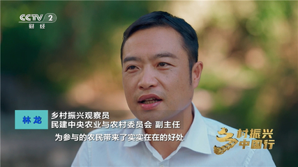 透过央视镜头，看“鸣鸣很忙”如何让乡村草莓走向全国