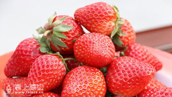 小草莓成就大产业，德昌草莓红火出圈记